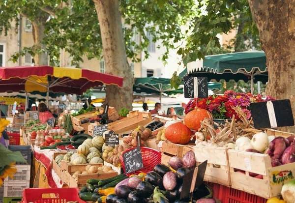 Coconut Grove Organic Farmers Market