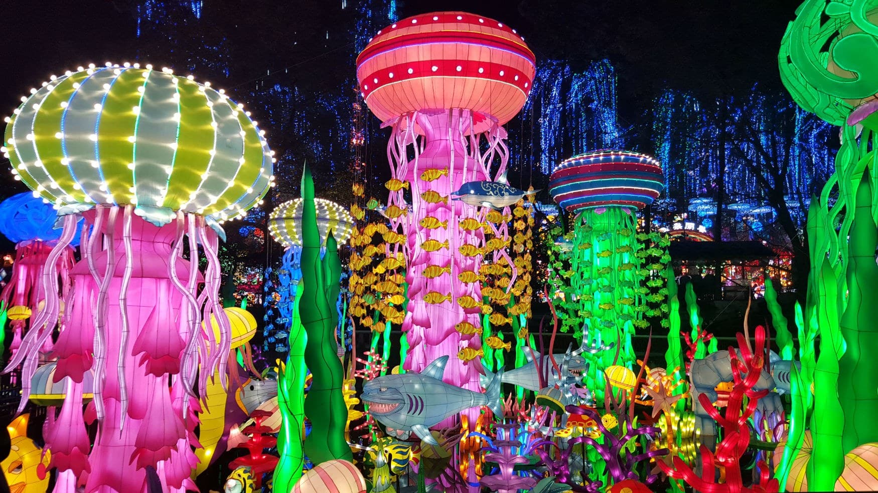 Luminosa: Miami Reimagined in Light at Jungle Island