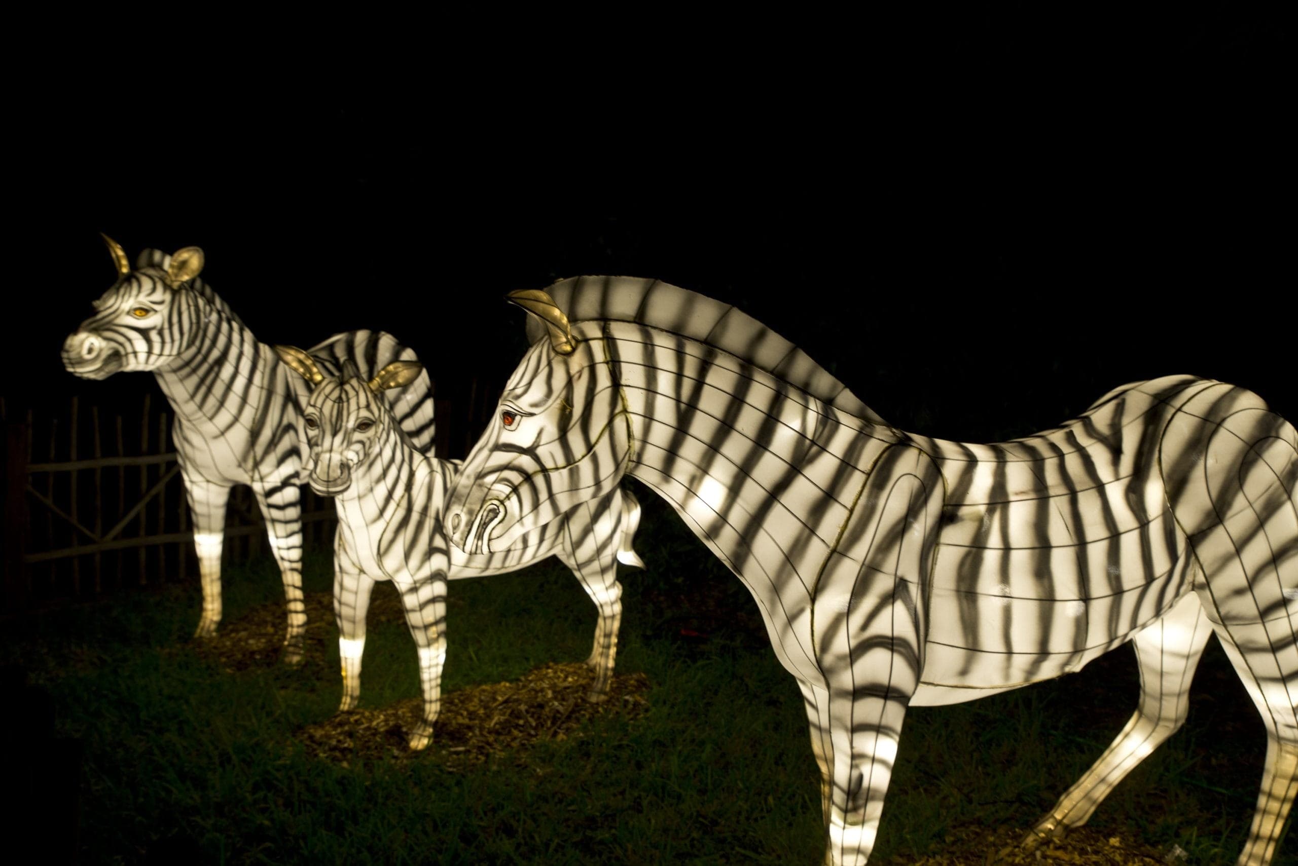 Zoo Lights at Zoo Miami